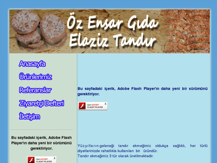 www.elaziztandir.com