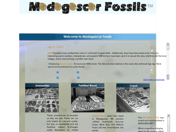 www.madagascarfossils.com