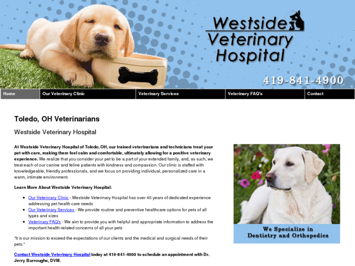 www.veterinarianhospitaltoldeo.com