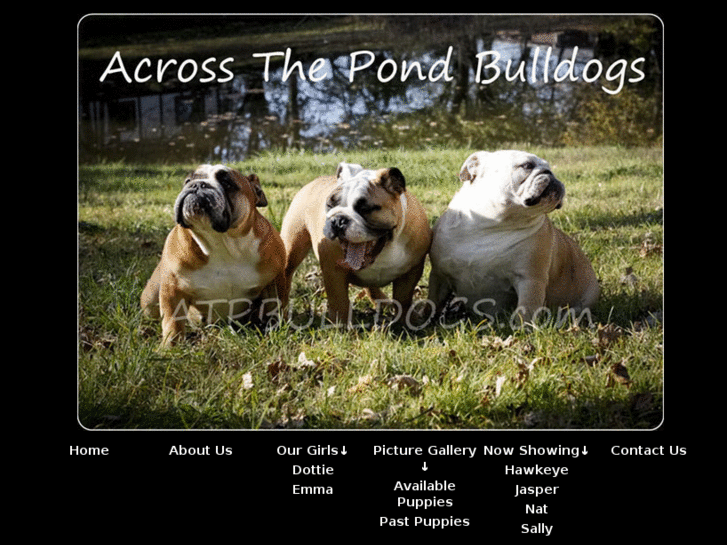 www.atpbulldogs.com