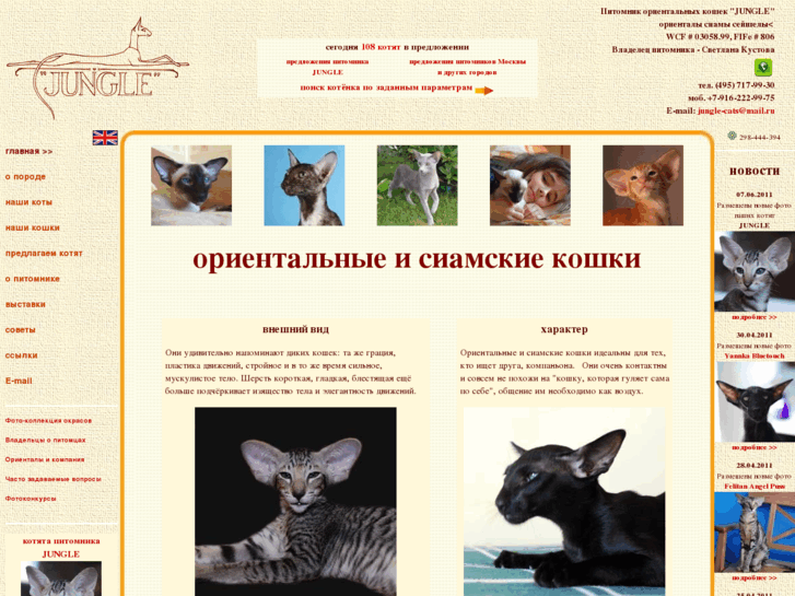 www.jungle-cats.ru