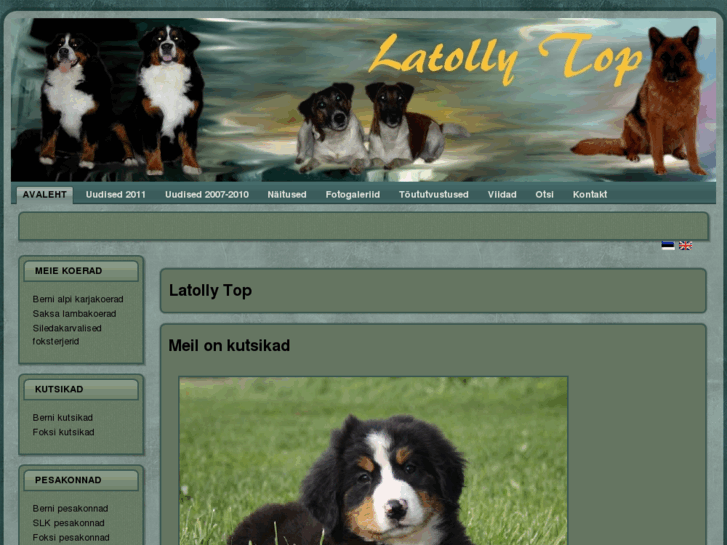 www.latollytop.com