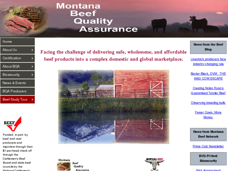 www.mtbqa.org