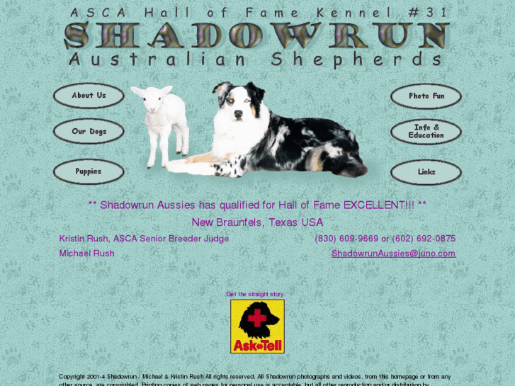 www.shadowrunaussies.com