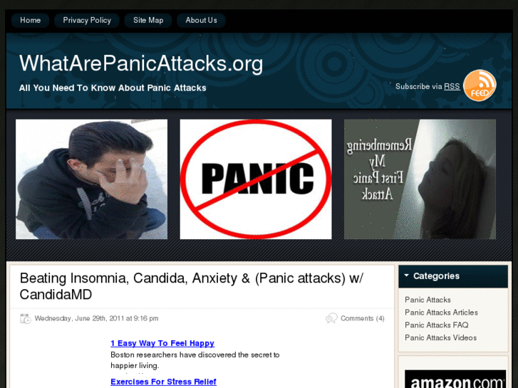 www.whatarepanicattacks.org