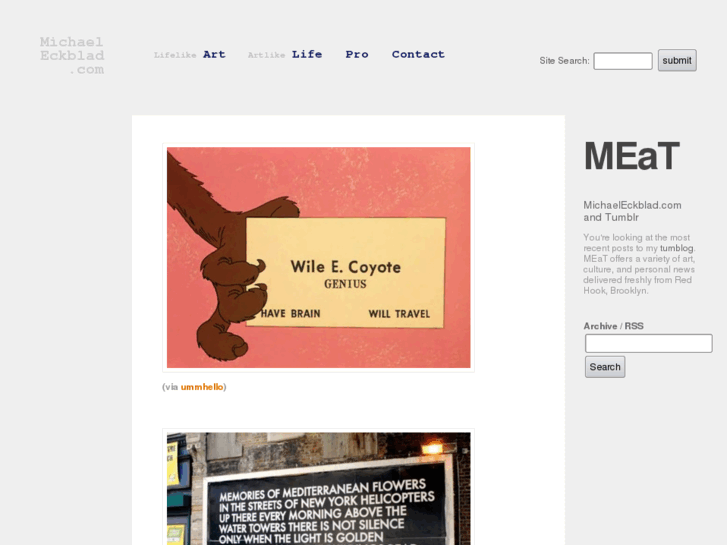 www.birthofthesly.com