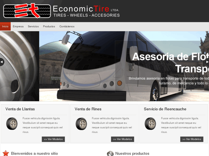 www.economictire.net