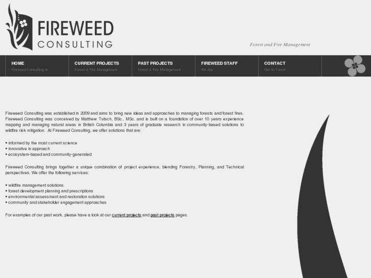 www.fireweedconsulting.com