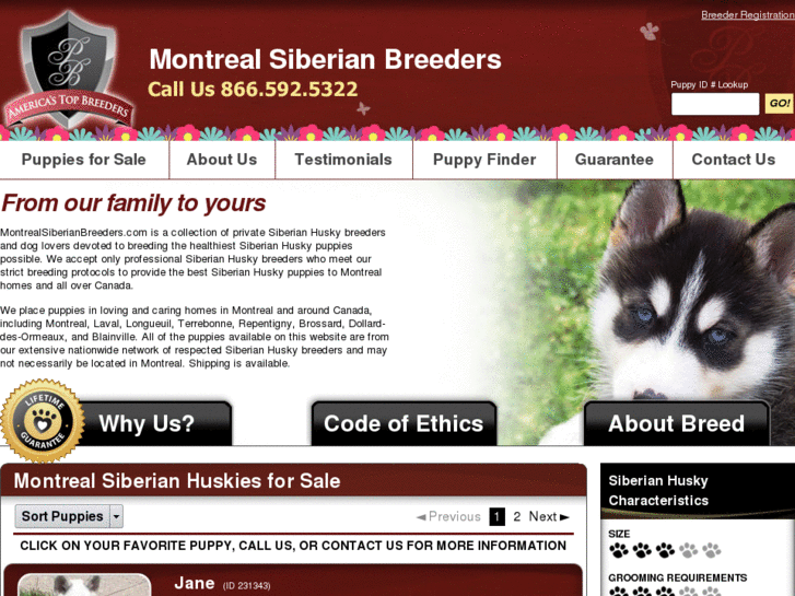 www.montrealsiberianbreeders.com