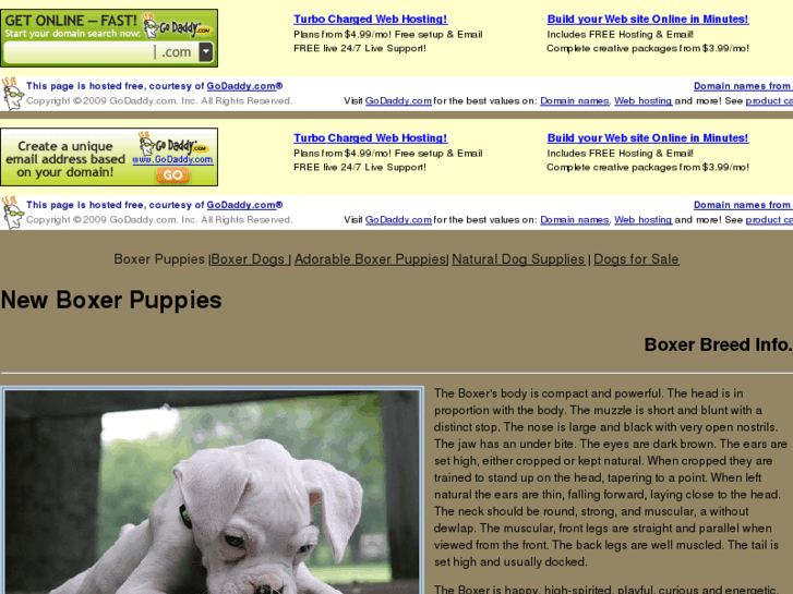 www.newboxerpuppies.com