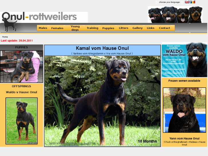 www.onul-rottweilers.com
