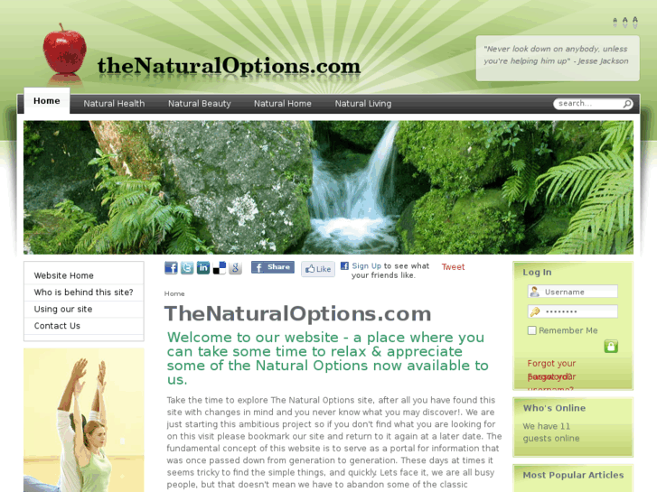 www.thenaturaloptions.com