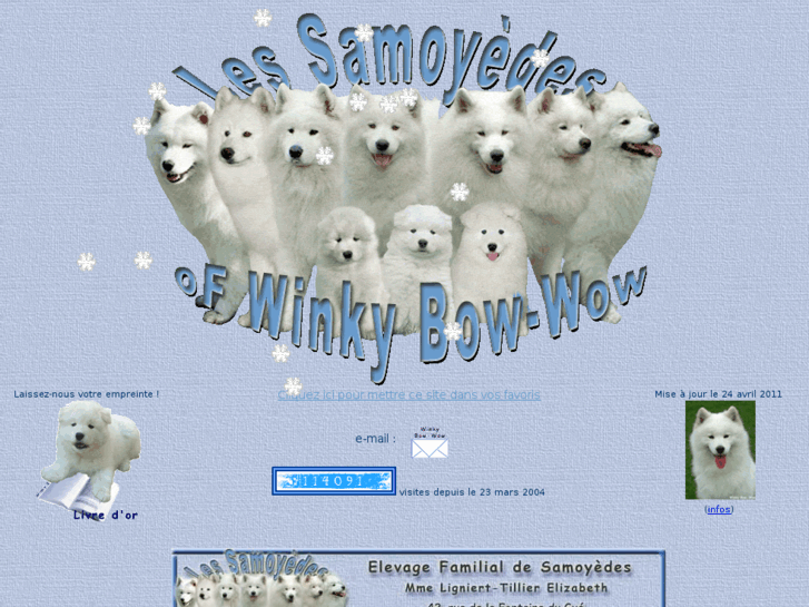 www.ami-samoyede.com