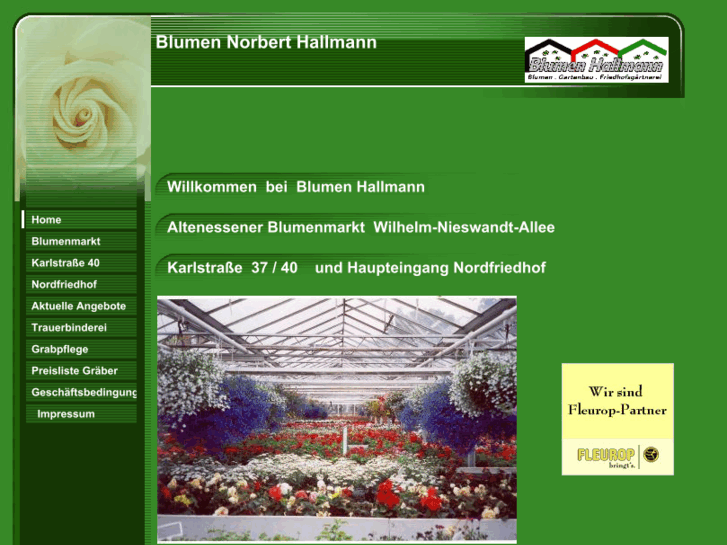 www.blumenhallmann.com