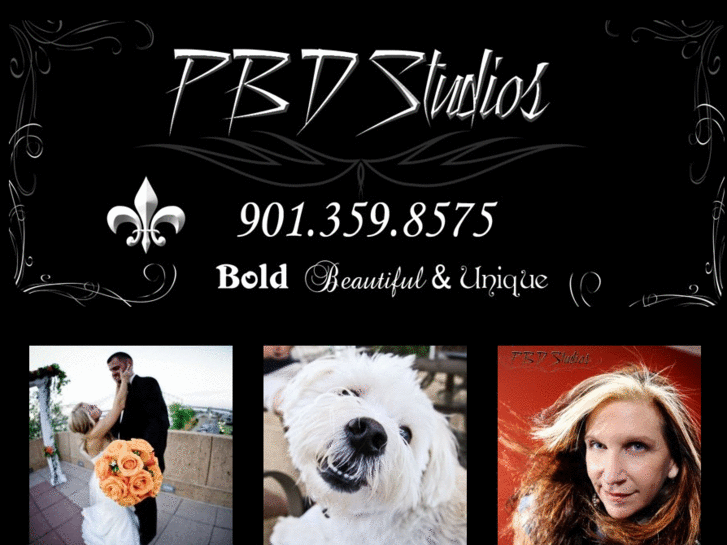 www.pbdstudios.net