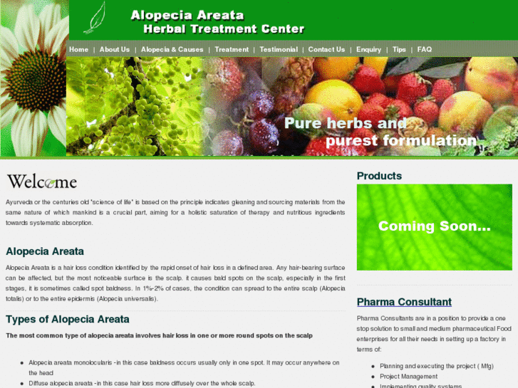 www.alopeciaherbaltreatment.com