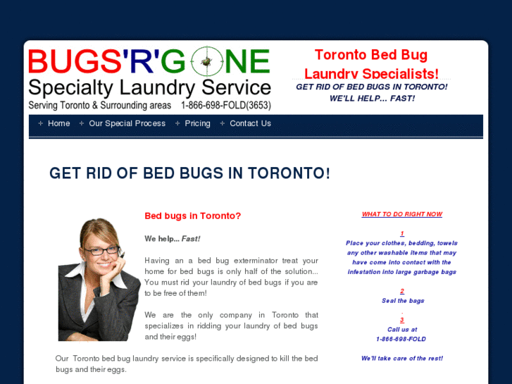 www.bugsrgonelaundry.com