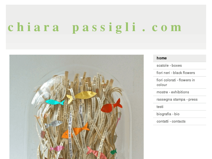 www.chiarapassigli.com