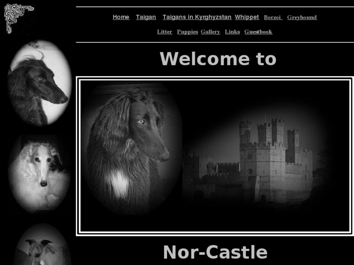 www.kennel-nor-castle.com