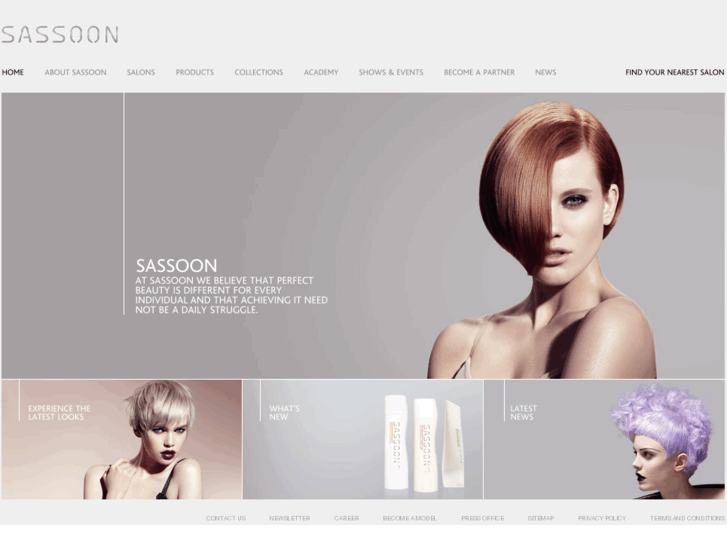 www.sassoonacademyschoolconnection.com