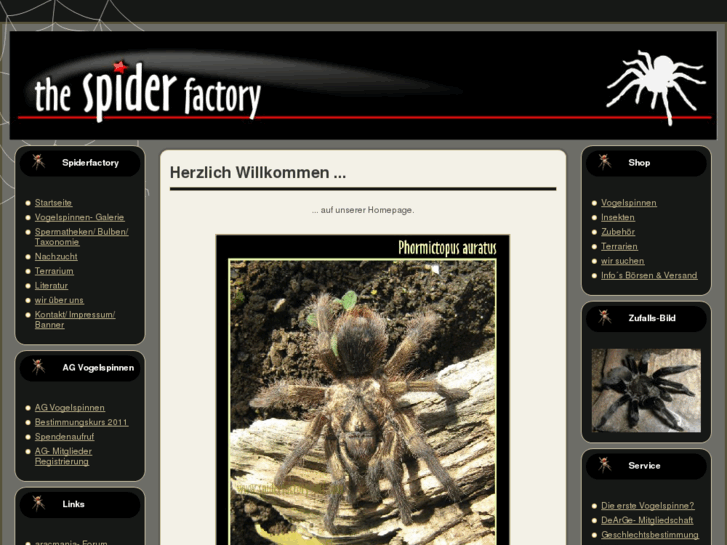 www.spiderfactory-wsf.com