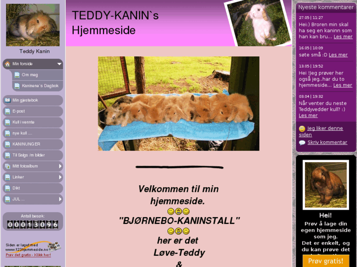 www.teddy-kanin.com