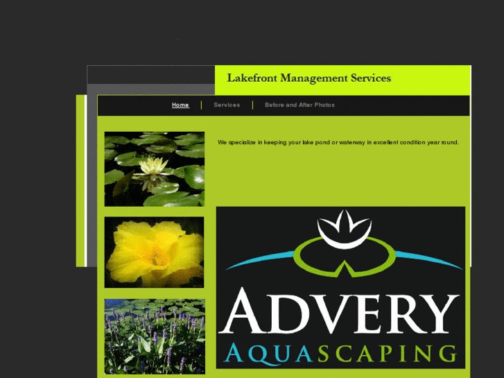 www.adveryaquascaping.com