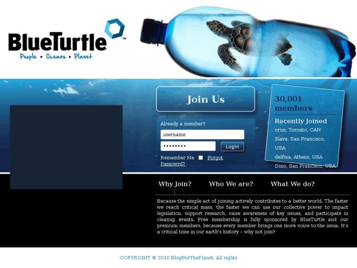 www.blueturtle.com