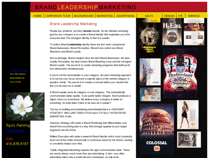 www.brandleadershipmarketing.com