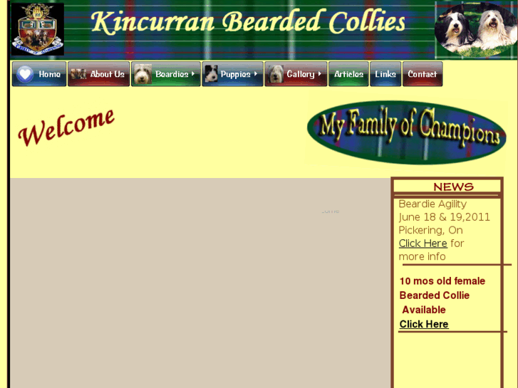 www.kincurranbeardedcollie.com