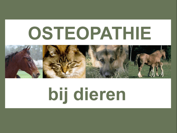 www.osteonet.nl