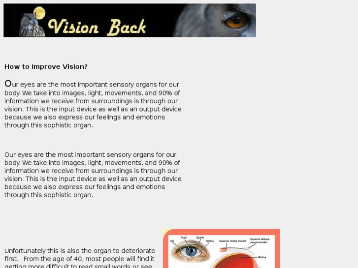 www.visionback.com