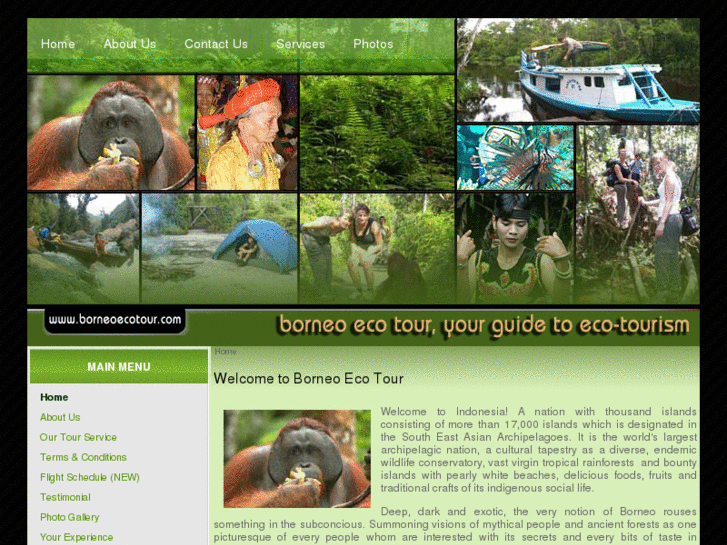 www.borneoecotour.com