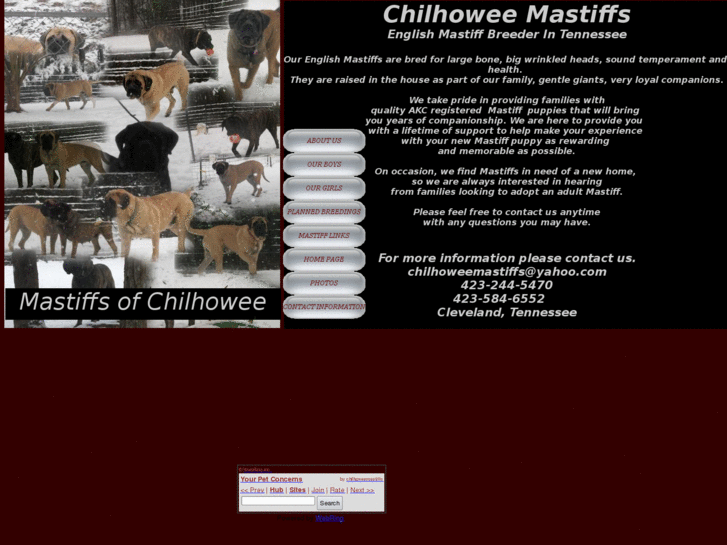 www.chilhoweemastiffs.org