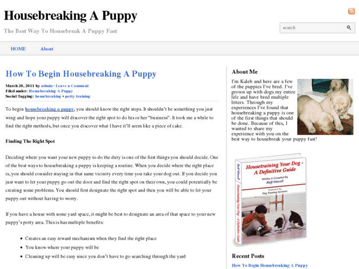 www.housebreakingapuppyfast.org