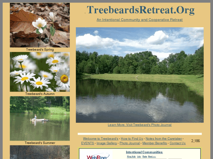 www.treebeardsretreat.org