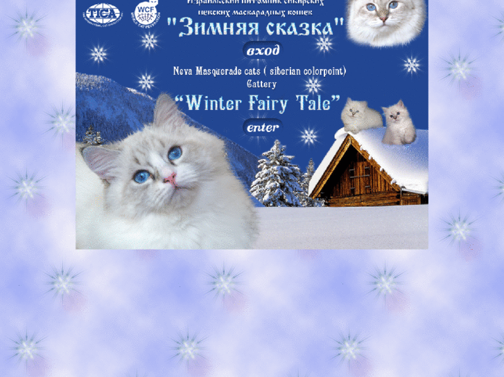 www.wintercats.com