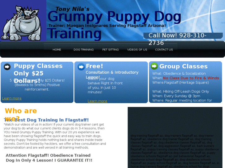 www.grumpypuppytraining.com