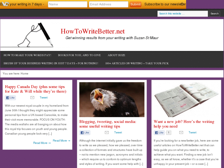 www.howtowritebetter.net