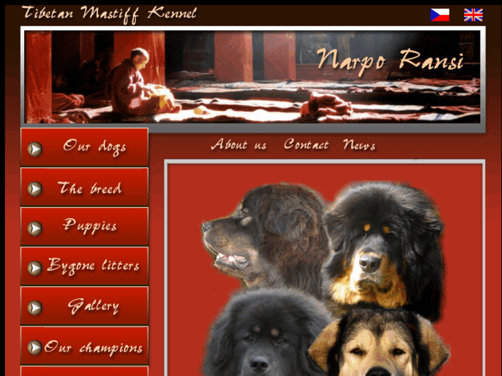 www.tibetanmastiff.cz