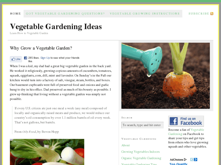 www.vegetablegardeningideas.com