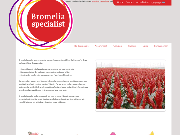 www.bromeliaspecialist.com