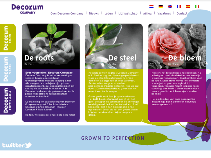 www.decorum-company.com