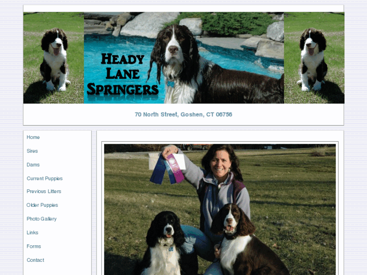 www.headylanespringers.com