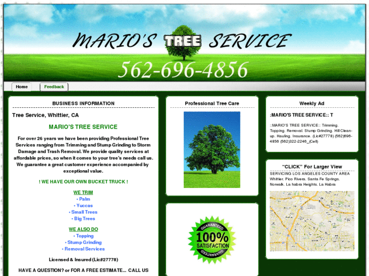 www.mariostreeservices.com