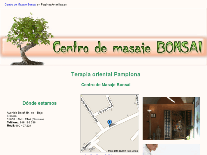 www.masajesbonsai.com