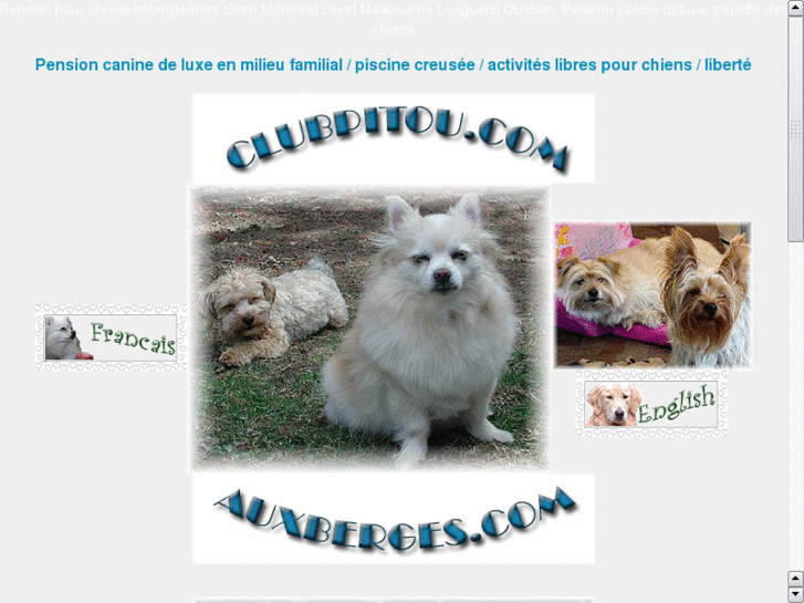 www.pension-familiale-chien.com