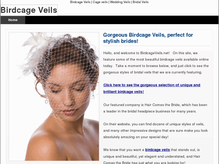 www.birdcageveils.net