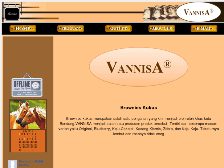 www.brownies-vannisa.com