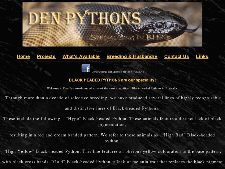 www.denpythons.com